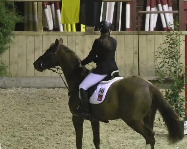 jumper Little Diamond 15 (KWPN (Royal Dutch Sporthorse), 2004, from VDL Orame)