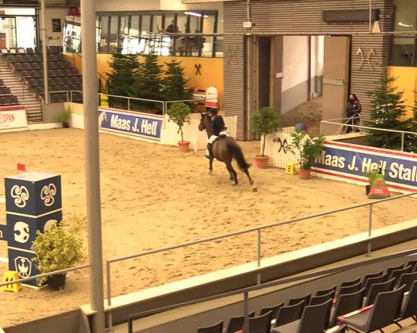 Reitturnier Verden Montagsclub 2020
