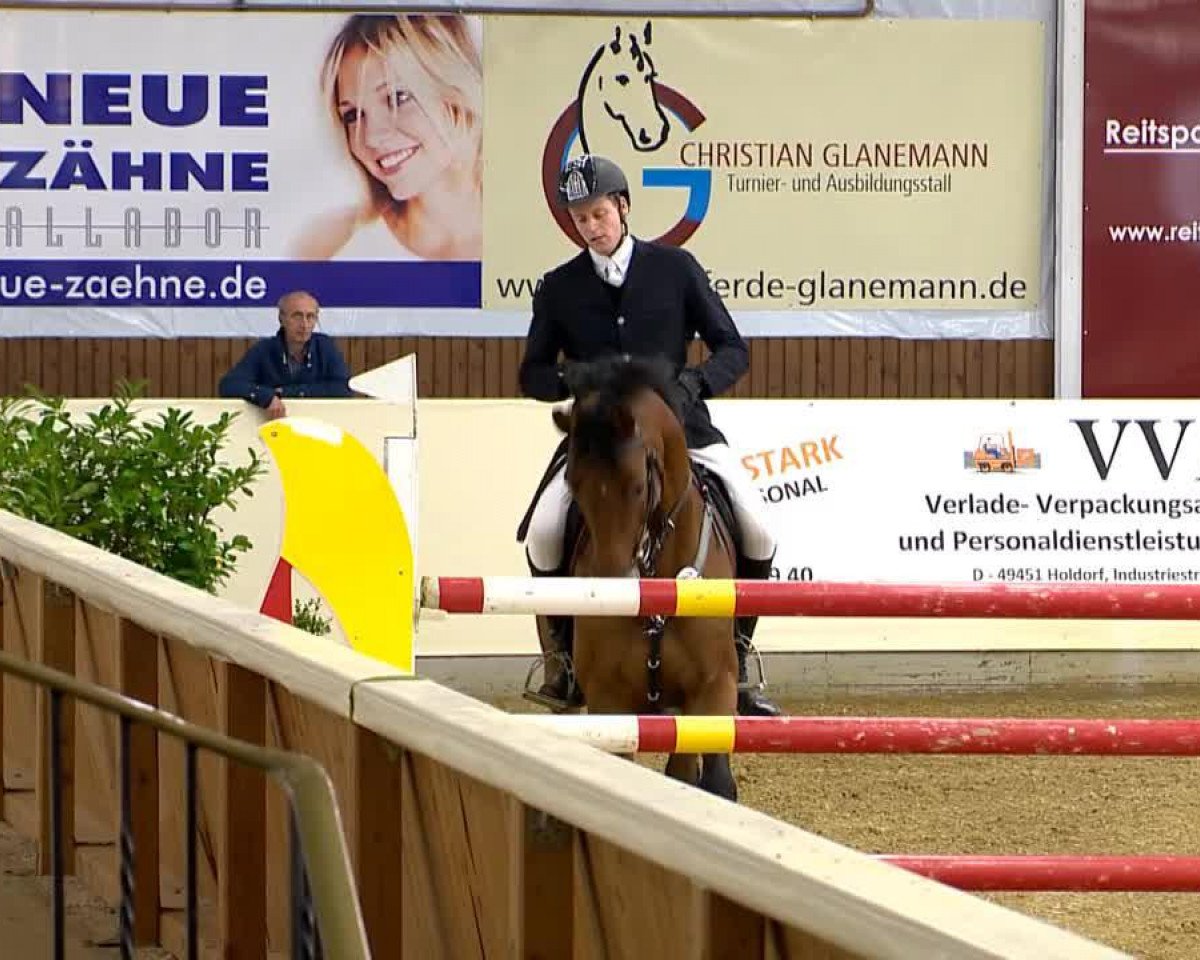 jumper Cascadeur 31 (Hanoverian, 2007, from Converter I)