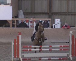 broodmare Valentina MS (German Riding Pony, 1993, from Chantre 31)