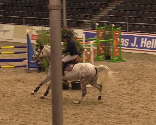 Reitturnier Verden Montagsclub 2020