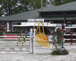 jumper Lightfire 5 (Pony without race description, 2005)