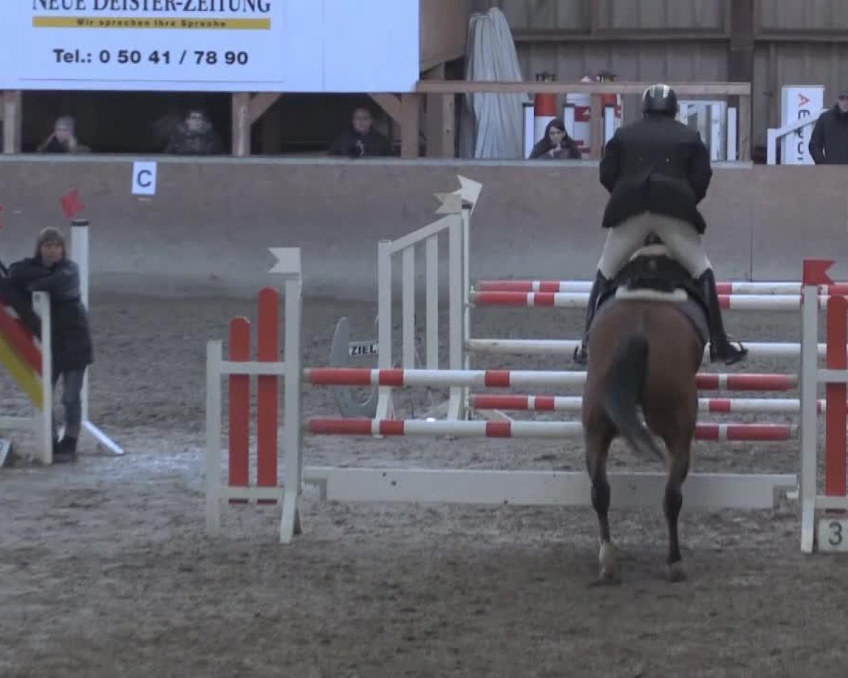 Springpferd It's up to you 2 (Hannoveraner, 2007, von Iberio)