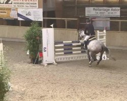 jumper Sissi Silvermoon (Hanoverian, 2008, from Salito)