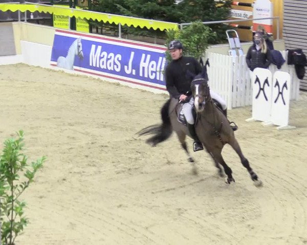 Reitturnier Verden Montagsclub 2020