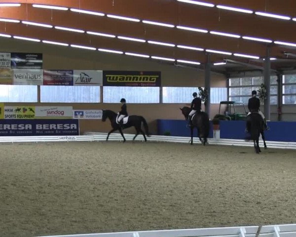 broodmare Rubilottie (Westphalian, 2008, from Rubinero 2)