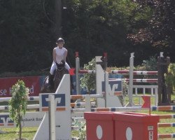 dressage horse San Fleur (Oldenburg, 2008, from San Amour I)