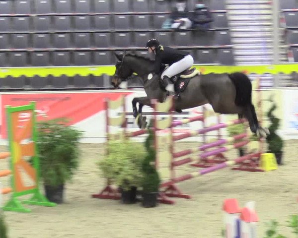 Reitturnier Verden Montagsclub 2020