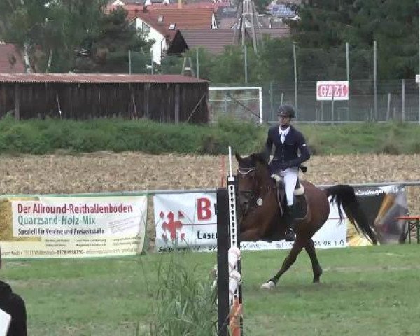 jumper Atze (Oldenburg show jumper, 2007, from Aralimbo)