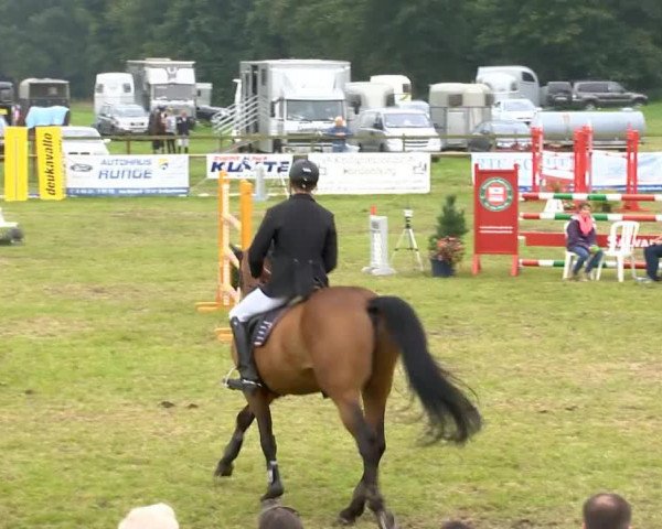 jumper Robby 262 (Hanoverian, 2005, from Rebel Z III)