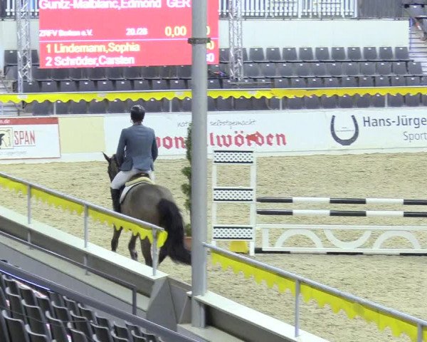 Reitturnier Verden Montagsclub 2020