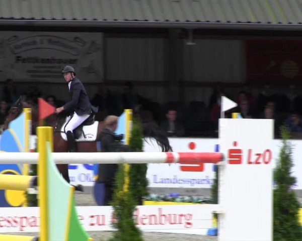 jumper Eye Catcher (Swedish Warmblood, 2006, from Cathageno)