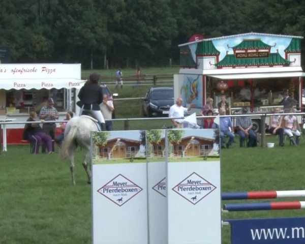 broodmare Goya 172 (Hanoverian, 2006, from Graf Top)