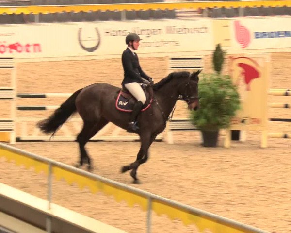 Reitturnier Verden Montagsclub 2020