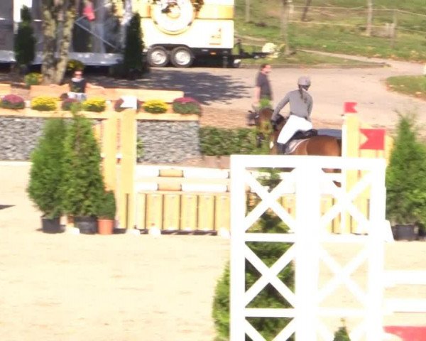 jumper Snargaluff (Rhinelander, 2007, from Sir Shutterfly)