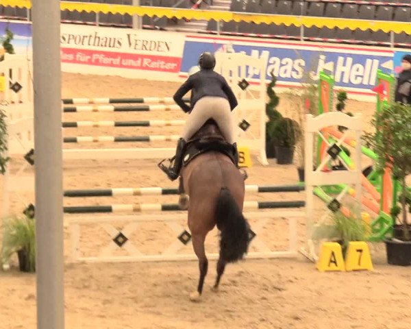 Reitturnier Verden Montagsclub 2020