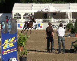 jumper Welano (KWPN (Royal Dutch Sporthorse), 2003, from Celano)