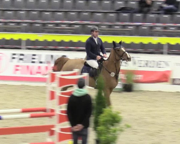Reitturnier Verden Montagsclub 2020