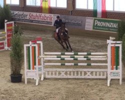 jumper Cargo 13 (KWPN (Royal Dutch Sporthorse), 2007, from Lord Z)