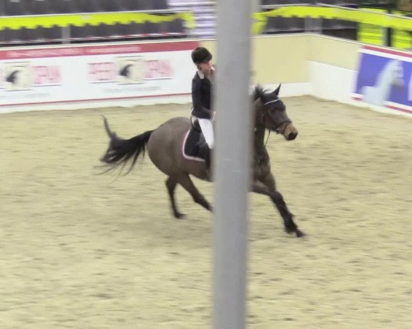 Reitturnier Verden Montagsclub 2020