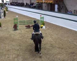 jumper Acorado's Girl (Rhinelander, 2008, from Acorado's Ass)