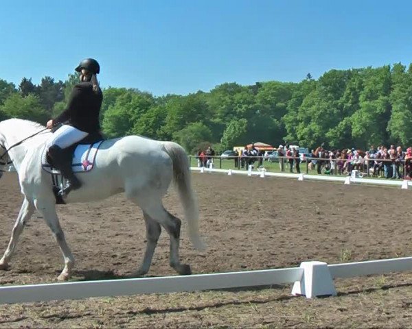 dressage horse Boccacio H (Westphalian, 1998, from Beltain)