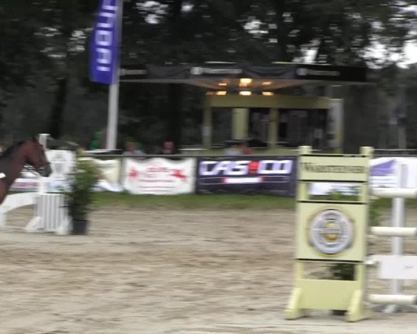 Springpferd Carlsson vom Dach Z (Westfale, 2008, von Contello)