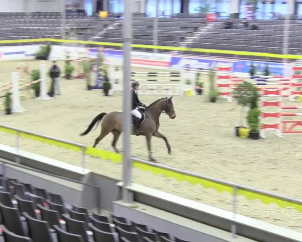 Reitturnier Verden Montagsclub 2020