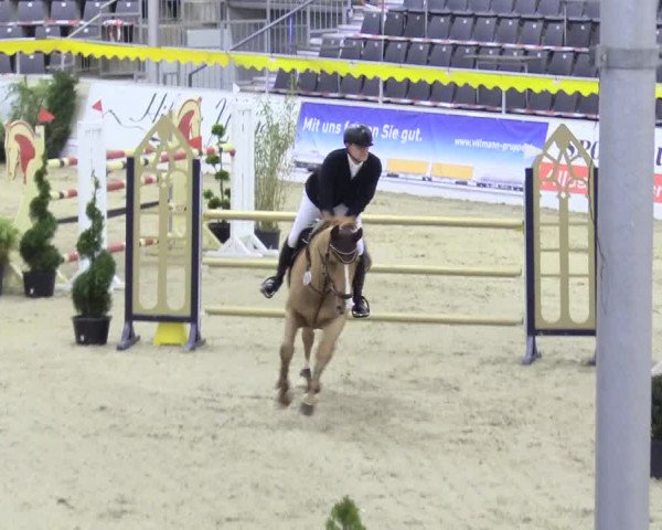 Reitturnier Verden Montagsclub 2020