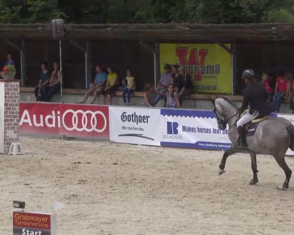 Springpferd Chiquinquira (Holsteiner, 2008, von Casquetto)
