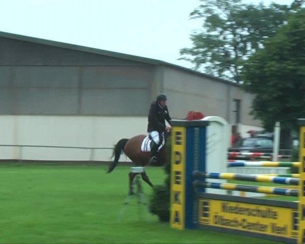 Dressurpferd Qui Boo (Westfale, 2008, von Quinta Real)