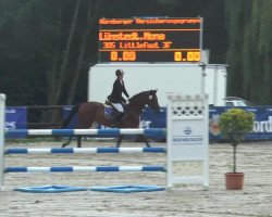 jumper Littlefoot 37 (Oldenburg, 2007, from Lapis Lazuli)