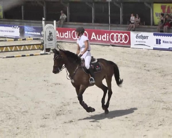 jumper La Stella 11 (Bavarian, 2007, from Lallier U)