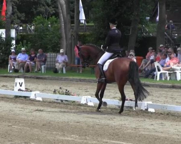 broodmare La Florence (Rhinelander, 2008, from Lord Loxley I)