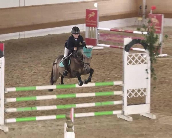 jumper Magic 228 (German Riding Pony, 2007, from Marlo)