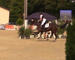 Springpferd California Girl (Oldenburger, 2007, von Carry Gold)