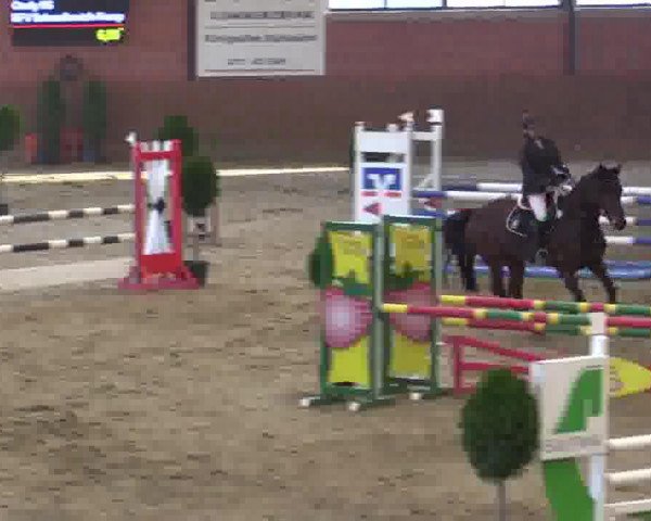 broodmare Cindy HS (Rhinelander, 2000, from Cordino)