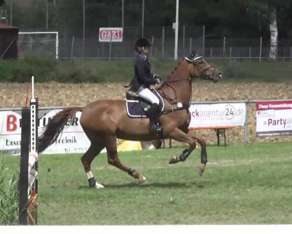 jumper Chapita L (Württemberger, 2008, from Ciacomo)