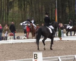 broodmare Flanetta 3 (Rhinelander, 2009, from Florenciano 6)