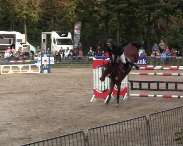 jumper Bono (KWPN (Royal Dutch Sporthorse), 2006, from Landlord)