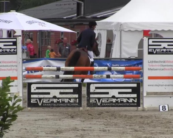 Springpferd Quiloma (Deutsches Reitpferd, 1993, von Quasimodo Z)
