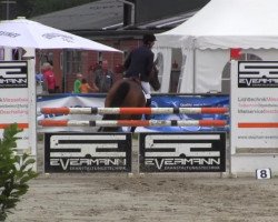 jumper Quiloma (German Warmblood, 1993, from Quasimodo Z)