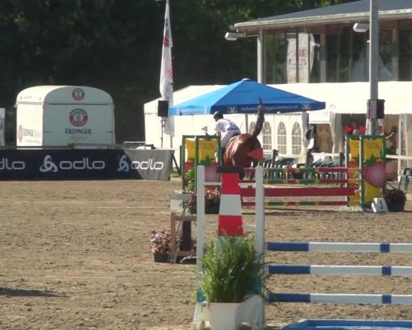 Springpferd FS Crime Time (Rheinländer, 2008, von Coronados-Boy)