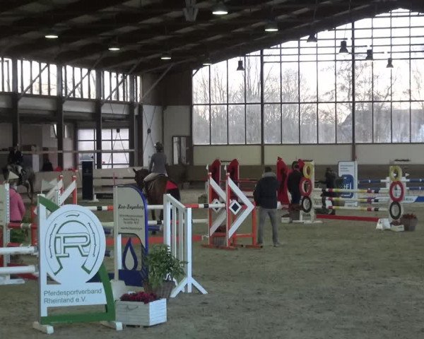 Reitturnier Langenfeld - Gut Langfort 2021