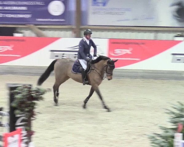 Reitturnier Negernbötel 2021, 8. Nordic Jumping event 2020/2021