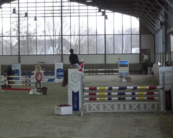 Reitturnier Langenfeld - Gut Langfort 2021