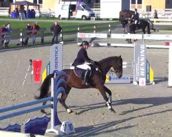 Springpferd San Diego 140 (Württemberger, 2006, von Sandro Hit)
