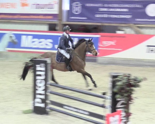 Reitturnier Negernbötel 2021, 8. Nordic Jumping event 2020/2021