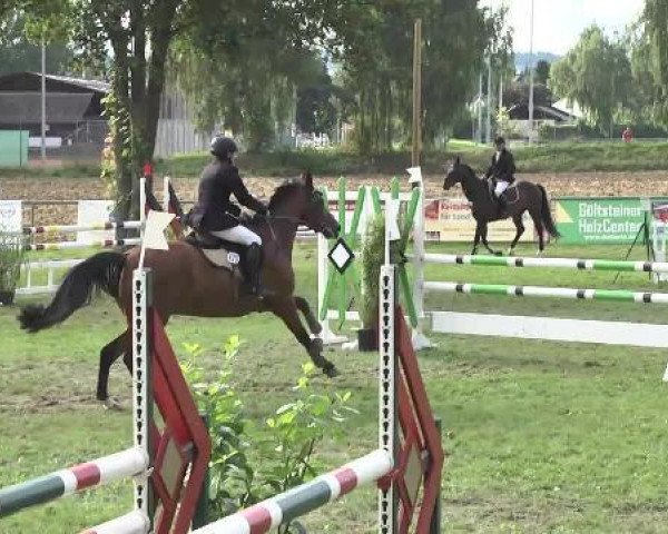 jumper Sion o'Nick (Württemberger, 2007, from Heops)