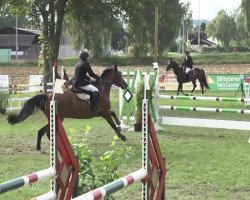 jumper Sion o'Nick (Württemberger, 2007, from Heops)